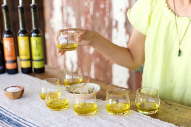 Gold Ridge Organic Farms Olive Oil Tasting and Orchard Tour for Two