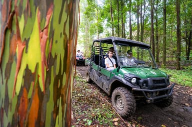 Polynesian ATV Adventure Tour in Big Island