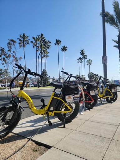 Half-Day E-Bike Rental
