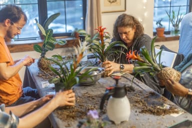 Hands-On Botanical Art Workshop