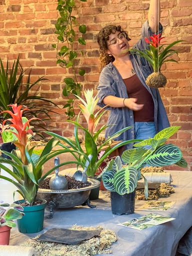 Create Your Own Terrarium Private Workshop for Two