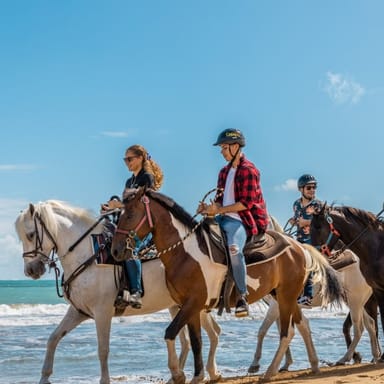 Beach Horseback Ride in Carabalí Rainforest Park