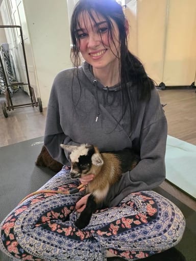 Baby Goat Yoga in Arlington