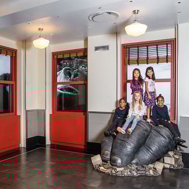 86th Floor Sunset Admission to the Empire State Building Observatory