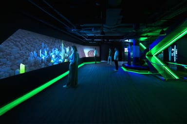 Lake Michigan Lunch Cruise and 360 Chicago Sip and View Experience for Two