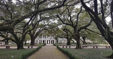 Whitney Plantation Tour