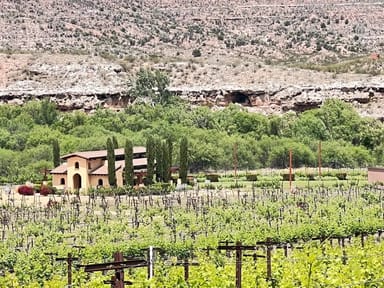 Half-Day Vineyards, Wineries, and Trattorias Tour