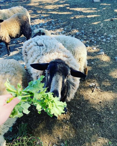 Harvest Moon Wine Tasting Experience for Two