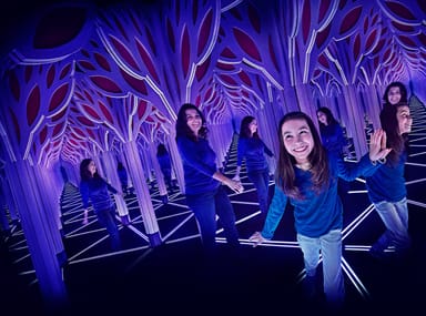 Go City | Chicago Essentials Pass - 3 Attractions
