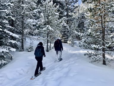 Rocky Mountain Snowshoe Tour
