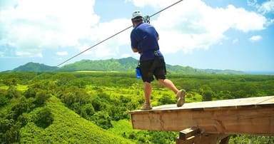 Ultimate Eight-Line Zipline Adventure