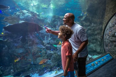 Aquarium of the Pacific Admission and Harbor Cruise for Two