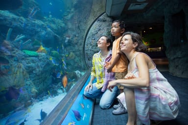 Aquarium of the Pacific Admission and Harbor Cruise for Two