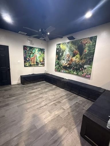 Mini Safari Animal Encounter: Meet Wallabies, Armadillos, and More