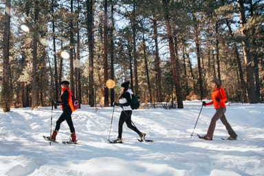 Scenic Taos Snowshoeing Adventure with Lunch