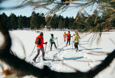 Scenic Taos Snowshoeing Adventure with Lunch