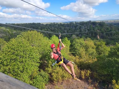 Lost Pines Half Zipline Tour