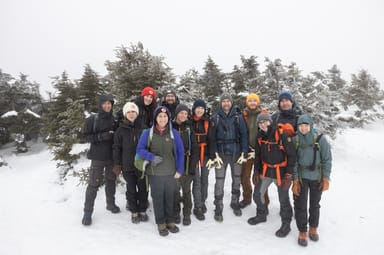 Scenic White Mountains Beginner Hike