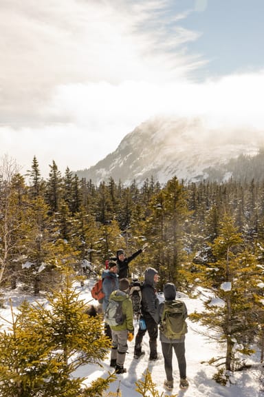 White Mountains Adventure: Hike a 4,000-Foot Summit