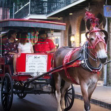 French Quarter Carriage Ride