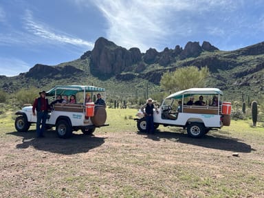 Sunset Ecology Jeep Tour in the Sonoran Desert