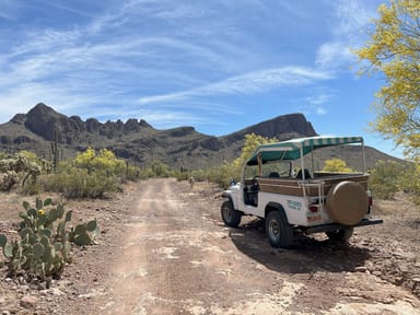 Sonoran Desert Ecology Jeep Tour