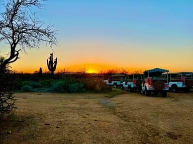 Sunset Ecology Jeep Tour in the Sonoran Desert