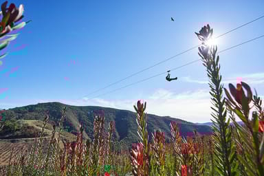 Santa Ynez Valley Zipline Adventure Tour