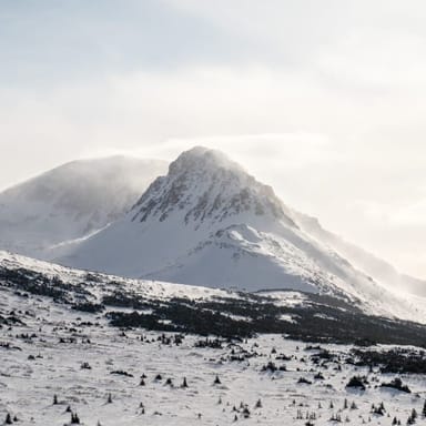 Advanced Snowshoeing Adventure