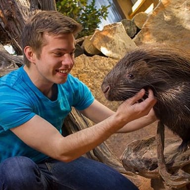 African Crested Porcupine Encounter at the Wild Florida Gator Park