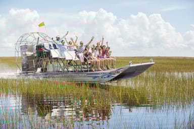 Big Bus Miami Everglades Adventure: Airboat Ride and Wildlife Exhibit