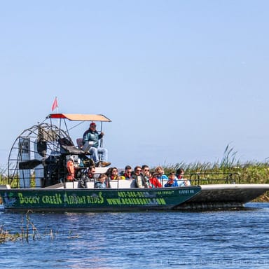 30-Minute Airboat Tour