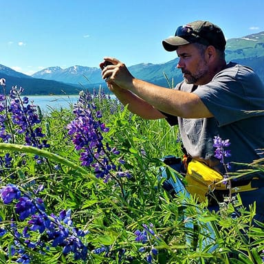 Afternoon Wilderness, Wildlife and Glaciers Photo Tour