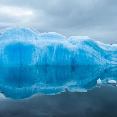 Afternoon Wilderness, Wildlife and Glaciers Photo Tour