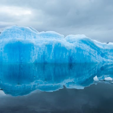 Wilderness, Wildlife, and Glaciers Photo Tour with Cruise