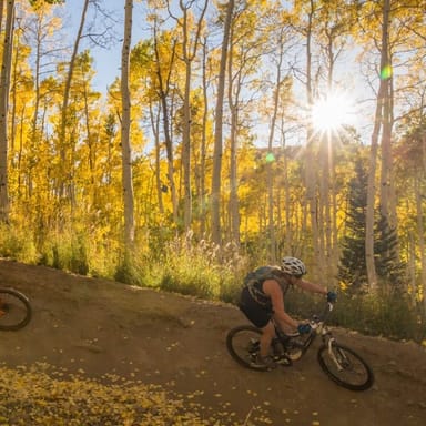 Mountain Biking Singletrack Ride