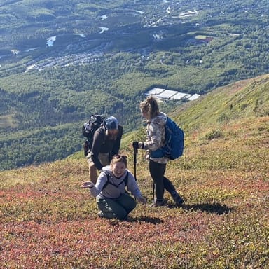 Private Chugach State Park Alpine Hiking Adventure
