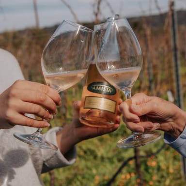 Wine Tasting for Two with Take-Home Bottle at Amista Vineyards