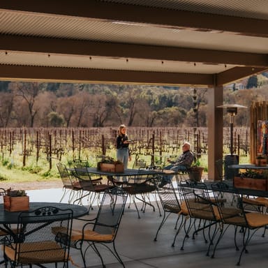Wine Tasting for Two with Take-Home Bottle at Amista Vineyards