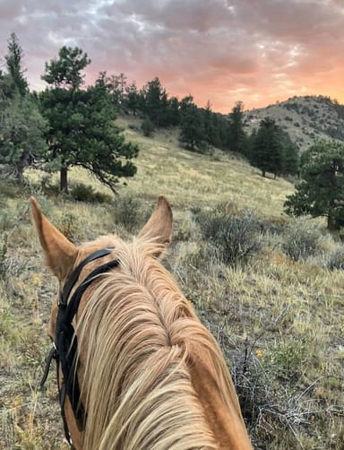 Rocky Mountain Sunset Horseback Ride