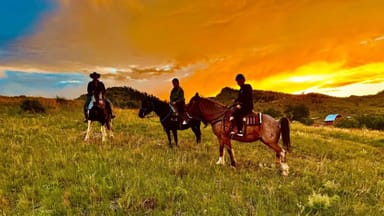 Rocky Mountain Horseback Ride