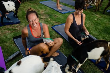 Goat Yoga Experience in Maui