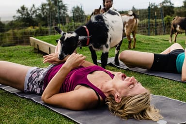 Goat Yoga Experience in Maui