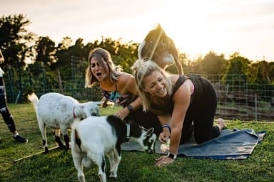 Sunset Goat Yoga Experience with Live Music in Maui