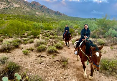 Linda Vista Trail Horseback Riding and Grooming Experience