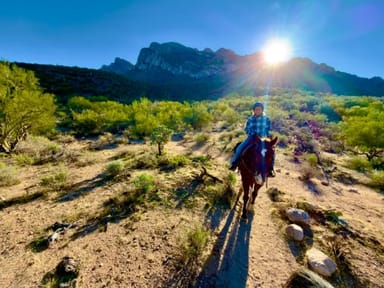Sunset Horseback Ride in Oro Valley