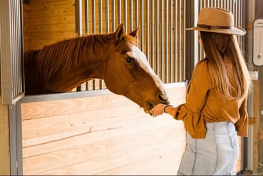 Wine and Equine: Unique Wine Tasting in a Beautiful Horse Barn
