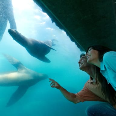 Admission to the Aquarium of the Pacific