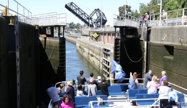 One-Way Seattle Locks Cruise from Seattle Waterfront