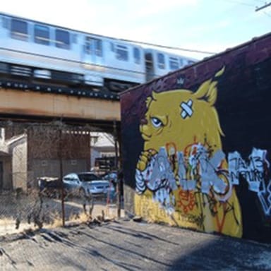 Chicago Street Art Tour